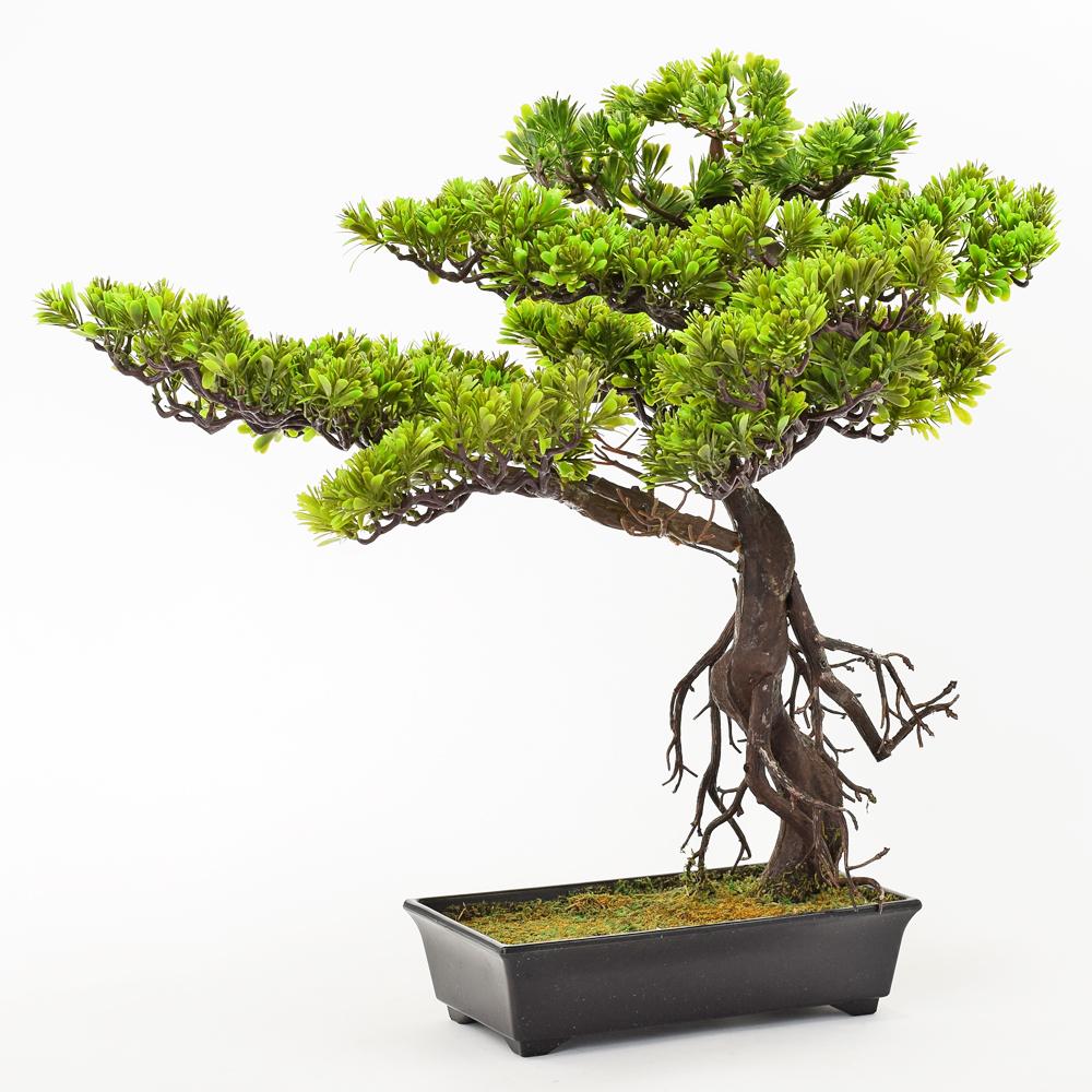 Bonsaj 60 CM